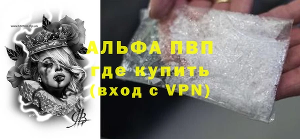 стаф Аркадак