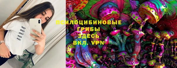 стаф Аркадак