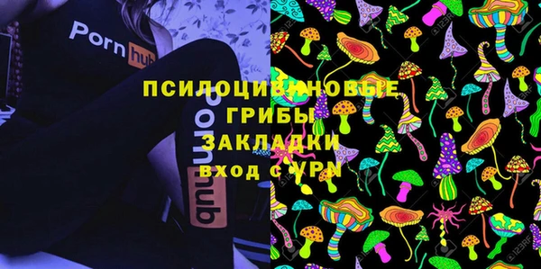 a pvp Арсеньев