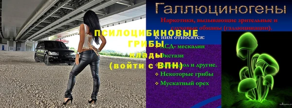 стаф Аркадак